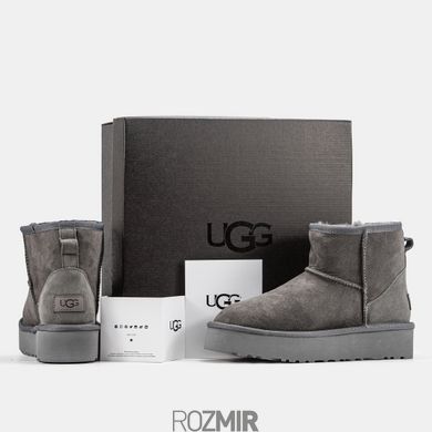 Уггі UGG Classic Mini Platform "Grey"