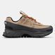 Женские кроссовки Nike Air Zoom Vomero Roam "Beige/Gray/Black/Orange"