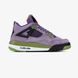 Кроссовки Nike Air Jordan 4 "Paris Violet"