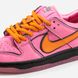 Жіночі кросівки Nike SB Dunk Low The Powerpuff Girls Blossom Pink
