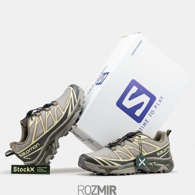 Кросівки Salomon XT-6 Soft Ground Gore-Tex Beige/Brown