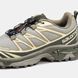 Кросівки Salomon XT-6 Soft Ground Gore-Tex Beige/Brown