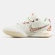 Кросівки Nike LeBron 21 "Akoya"