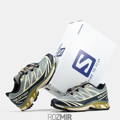 Кросівки Salomon XT-6 Soft Ground Gore-Tex Grey/Beige