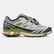 Кросівки Salomon XT-6 Soft Ground Gore-Tex Grey/Beige