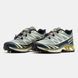Кросівки Salomon XT-6 Soft Ground Gore-Tex Grey/Beige