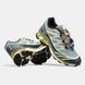 Кросівки Salomon XT-6 Soft Ground Gore-Tex Grey/Beige