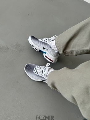 Кроссовки Nike Air Max TN Plus Grey/White/Blue