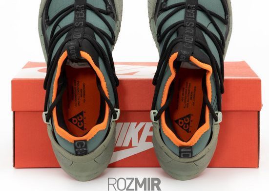 Чоловічі кросівки Nike ACG Mountain 2 Fly "Juniper Fog" BV6348-300