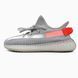 Кроссовки adidas Yeezy Boost 350 V2 "Tail Light"