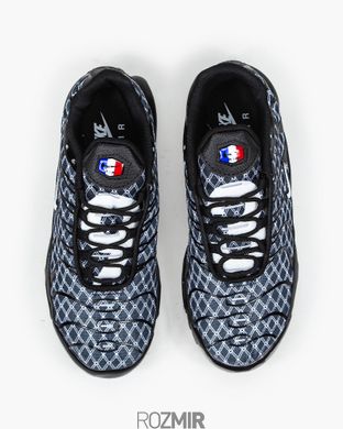 Кроссовки Nike Air Max TN Plus France