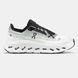 Чоловічі кросівки Loewe x ON Running Cloudtilt 2.0 White/Black