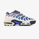 Мужские кроссовки Nike Air Max Plus Drift Chilly Gradient