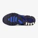 Мужские кроссовки Nike Air Max Plus Drift Chilly Gradient