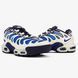 Мужские кроссовки Nike Air Max Plus Drift Chilly Gradient