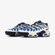 Мужские кроссовки Nike Air Max Plus Drift Chilly Gradient