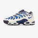 Мужские кроссовки Nike Air Max Plus Drift Chilly Gradient