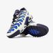 Мужские кроссовки Nike Air Max Plus Drift Chilly Gradient
