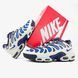 Мужские кроссовки Nike Air Max Plus Drift Chilly Gradient
