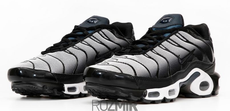 Чоловічі кросівки Nike Air Max TN Plus 'Midnight Navy' DV7665-001