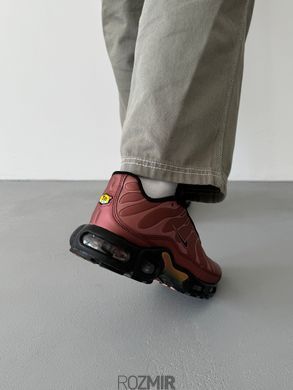 Чоловічі кросівки Nike Air Max TN Plus Bordo