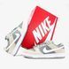 Кроссовки Nike SB Dunk Low TRD "Summit White" AR0778 110