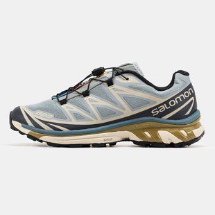 Кросівки Salomon XT-6 Grey/Beige