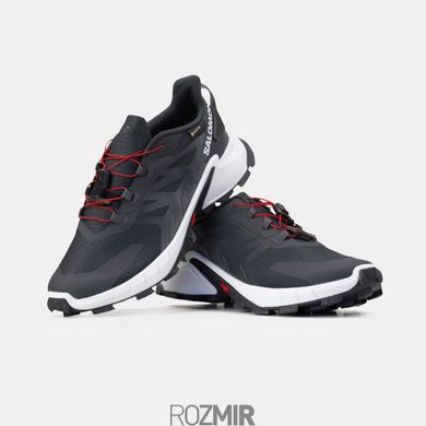 Кросівки Salomon Alphacross 5 GORE-TEX Black/White