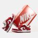 Кросівки Nike SB Dunk Low "Red/White"