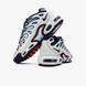 Чоловічі кросівки Nike Air Max Plus Drift "Football Grey/Aquarius Blue"