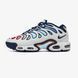 Чоловічі кросівки Nike Air Max Plus Drift "Football Grey/Aquarius Blue"