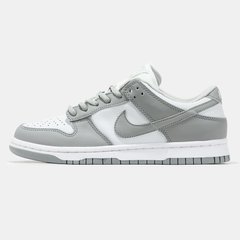 Кросівки Nike Nike SB Dunk Low Grey/White