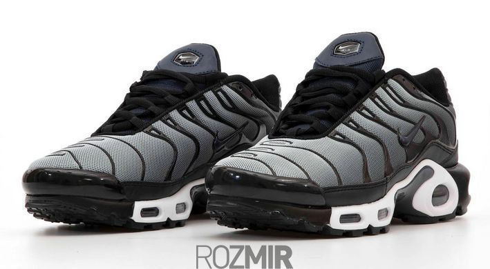 Чоловічі кросівки Nike Air Max TN Plus "Grey/Black-White"