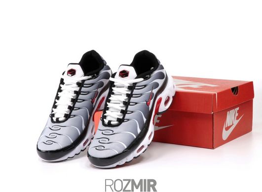 Кроссовки Nike Air Max TN Plus "White/Black/Grey"