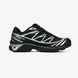 Чоловічі кросівки Salomon XT-6 Soft Ground Gore-Tex "Black Silver"