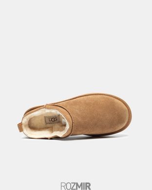 Женские угги UGG Classic Micro Boot "Chestnut"