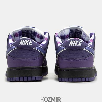 Кросівки Nike SB Dunk Low Concepts Purple Lobster