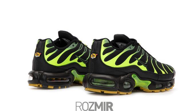 Мужские кроссовки Nike Air Max Plus &ldquo;Black/Pacific Moss&rdquo; DM0032-010