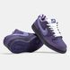 Кросівки Nike SB Dunk Low Concepts Purple Lobster