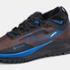 Кроссовки Nike Pegasus Trail 4 Gore-Tex Brown/Black-Blue