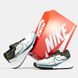Кросівки Nike Pegasus Trail 4 Gore-Tex White/Khaki