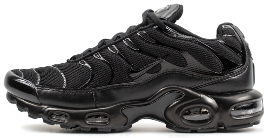 Купить Кросівки Nike Air Max TN Plus 