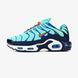 Кросівки Nike Air Max Plus TN 'Discover Your Air'