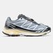 Кросівки Salomon XT-6 Soft Ground Grey/Beige