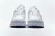 Кроссовки Nike Air Max 2090 "White/Wolf Grey-Pure Platinum" BV9977-100