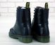 Жіночі зимові черевики Dr. Martens 1460 Smooth "Black" з хутром