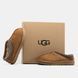 UGG Tasman II Chestnut