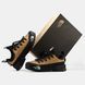 Кросівки The North Face Glenclyffe Low "Summit Gold/Black"