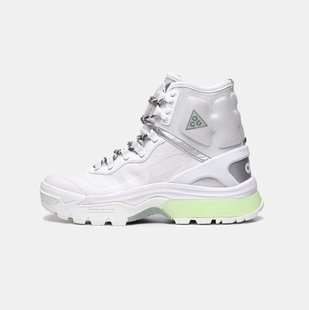 Кросівки Nike ACG  Air Zoom Gaiadome Gore-Tex "Summit White"