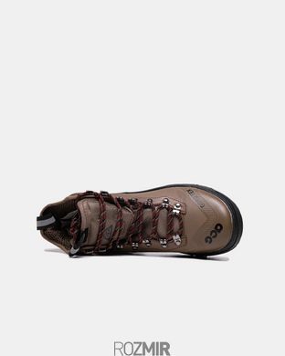 Кроссовки Nike ACG Air Zoom Gaiadome GORE-TEX Brown